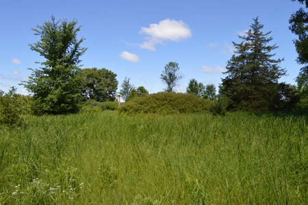 Online Only Marquette County Wisconsin Land Auction - image 25