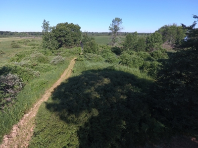 Online Only Marquette County Wisconsin Land Auction - image 33