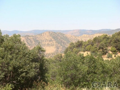 Colorado Mountain Hunting Cabin For Sale - image 13