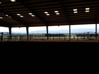 Irrigated Farm in New Mexico - image 19