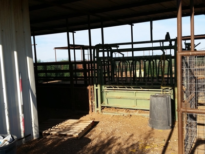 Irrigated Farm in New Mexico - image 3