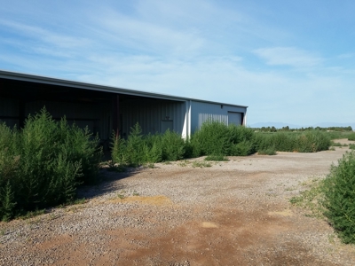 Irrigated Farm in New Mexico - image 13