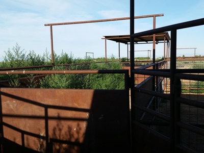 Irrigated Farm in New Mexico - image 21
