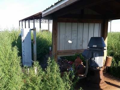 Irrigated Farm in New Mexico - image 2