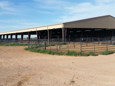 Irrigated Farm in New Mexico - image 17