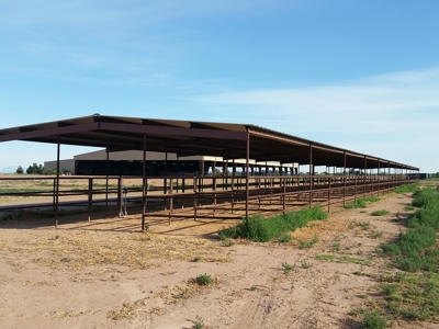 Irrigated Farm in New Mexico - image 11