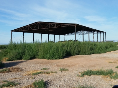 Irrigated Farm in New Mexico - image 6