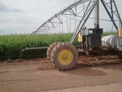 Irrigated Farm in New Mexico - image 1