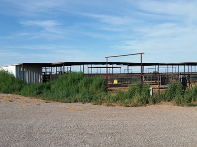 Irrigated Farm in New Mexico - image 23