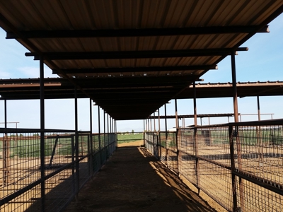 Irrigated Farm in New Mexico - image 8