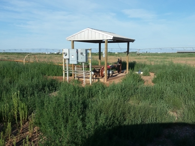 Irrigated Farm in New Mexico - image 12