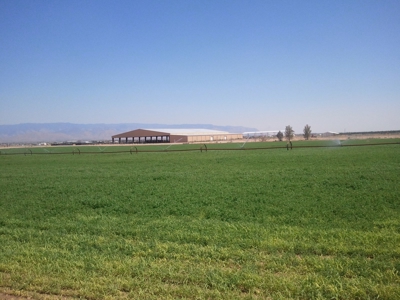 Irrigated Farm in New Mexico - image 5
