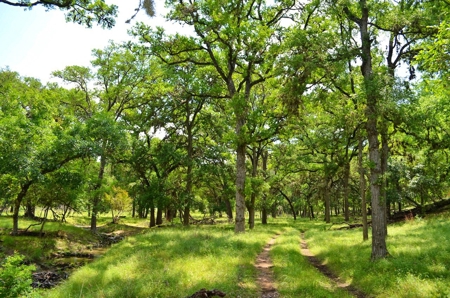 Hill Country Ranch For Sale Sisterdale TX - Views - image 10