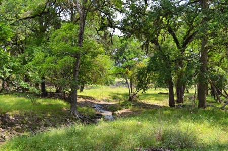 Hill Country Ranch For Sale Sisterdale TX - Views - image 9