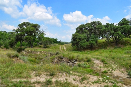 Hill Country Ranch For Sale Sisterdale TX - Views - image 16