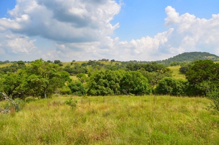 Hill Country Ranch For Sale Sisterdale TX - Views - image 11