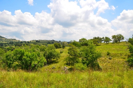 Hill Country Ranch For Sale Sisterdale TX - Views - image 21