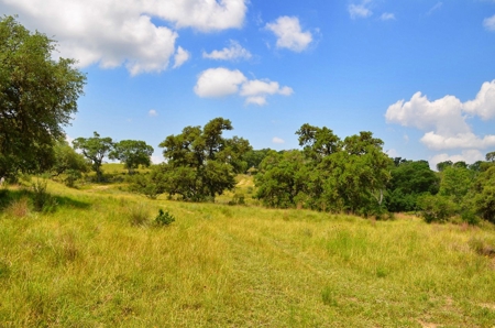 Hill Country Ranch For Sale Sisterdale TX - Views - image 19