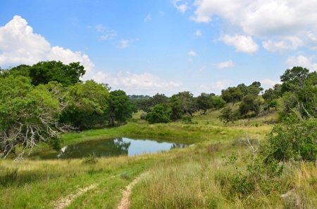 Hill Country Ranch For Sale Sisterdale TX - Views - image 13