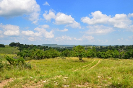 Hill Country Ranch For Sale Sisterdale TX - Views - image 2