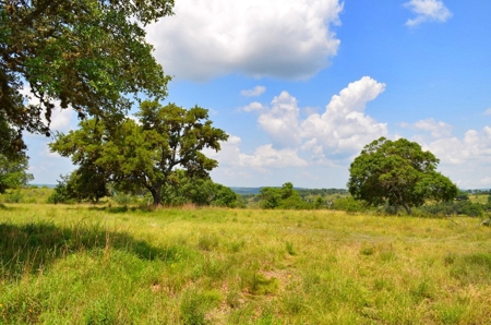 Hill Country Ranch For Sale Sisterdale TX - Views - image 1