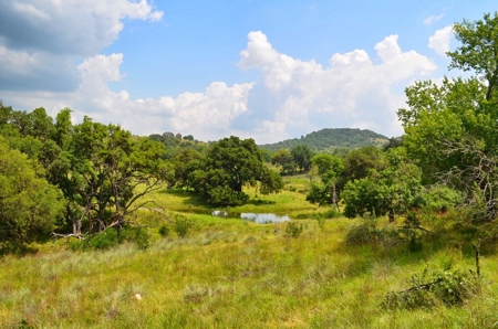 Hill Country Ranch For Sale Sisterdale TX - Views - image 3