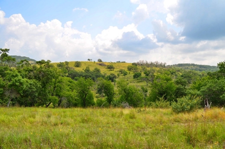 Hill Country Ranch For Sale Sisterdale TX - Views - image 12