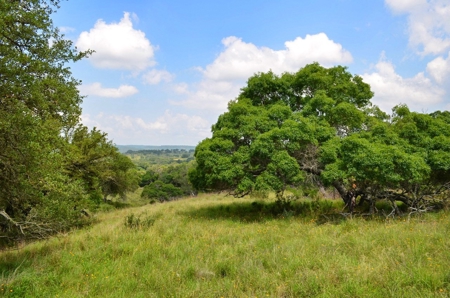 Hill Country Ranch For Sale Sisterdale TX - Views - image 18