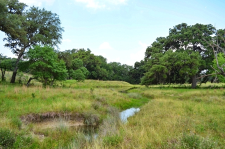 Hill Country Ranch For Sale Sisterdale TX - Views - image 14