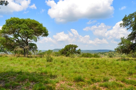 Hill Country Ranch For Sale Sisterdale TX - Views - image 6