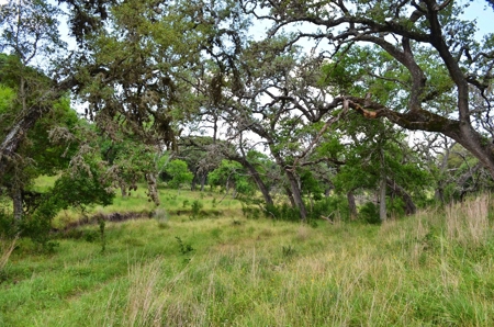 Hill Country Ranch For Sale Sisterdale TX - Views - image 20