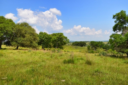 Hill Country Ranch For Sale Sisterdale TX - Views - image 5