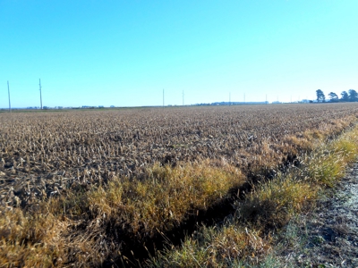 Farmland for Sale Beaufort County NC,  Ag Property - image 6