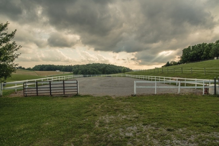Equine Property and Custom Home for Sale in Dublin VA! - image 7