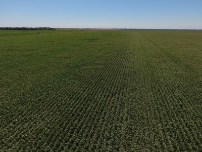 SOLD! $6140 per Acre! - image 7