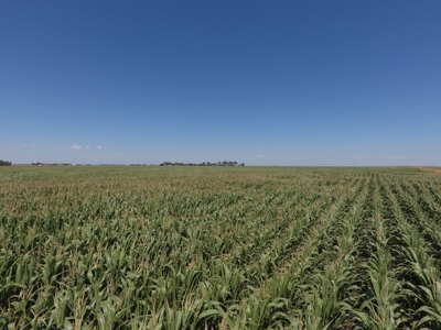 SOLD! $6140 per Acre! - image 3