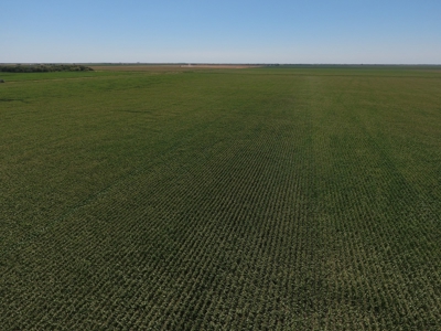 SOLD! $6140 per Acre! - image 6