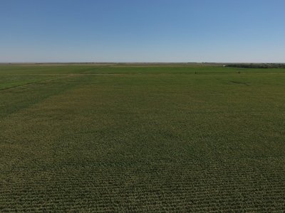 SOLD! $6140 per Acre! - image 5