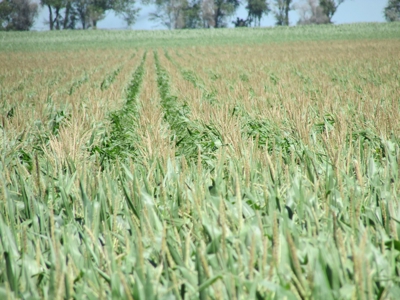SOLD! $6140 per Acre! - image 8