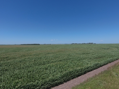 SOLD! $6140 per Acre! - image 2