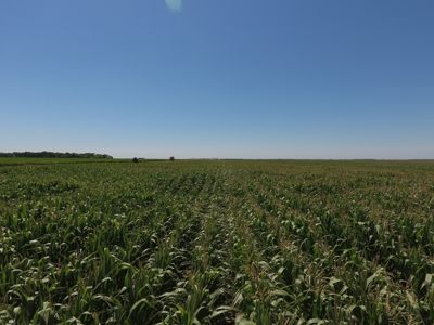 SOLD! $6140 per Acre! - image 4