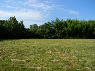 East Lot 0.3887 Acre Groover Road Hartselle AL - image 3