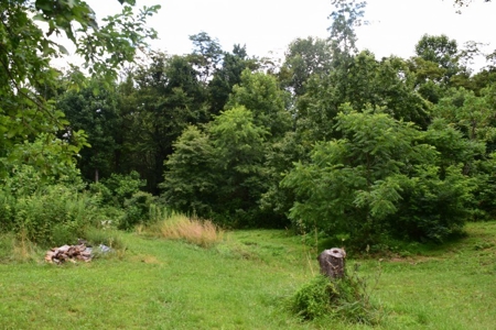 Country Home with Acreage for Sale at Auction in VA! - image 11