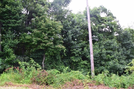 Country Home with Acreage for Sale at Auction in VA! - image 27