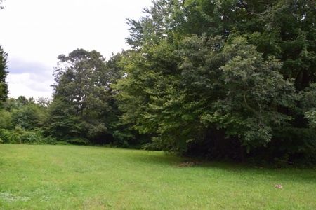 Country Home with Acreage for Sale at Auction in VA! - image 5