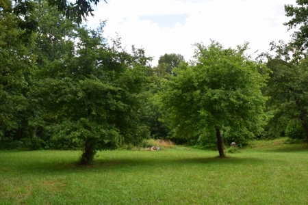 Country Home with Acreage for Sale at Auction in VA! - image 9