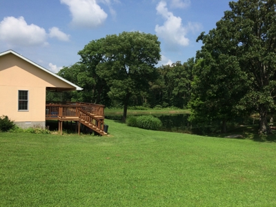 Southern Illinois Orlandini Winery Vineyard for Sale - image 3