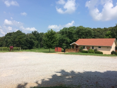 Southern Illinois Orlandini Winery Vineyard for Sale - image 10