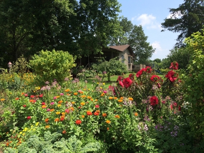 Southern Illinois Orlandini Winery Vineyard for Sale - image 15