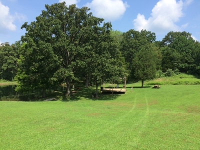 Southern Illinois Orlandini Winery Vineyard for Sale - image 4